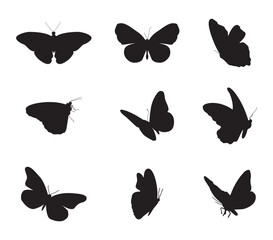 Poster - Nine black butterfly silhouettes arranged in a 3x3 grid on a white background
