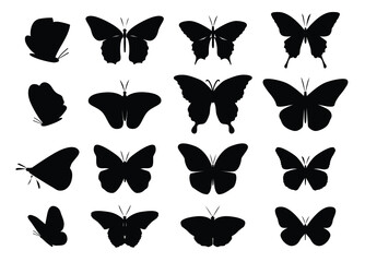 Poster - Vector art of butterflies with diverse wing shapes and sizes silhouetted in black
