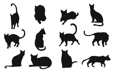 Poster - Image shows twelve silhouetted black cats in varied poses on a white background