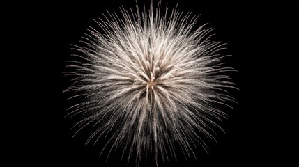 Poster - Sparkling white firework explosion resembling a starburst, perfectly isolated on a jet black backdrop.