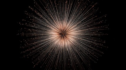 Poster - Minimal composition of isolated firework spark trails forming a radial pattern against deep black.