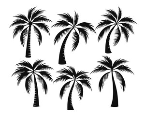 Poster - Collection of striking black silhouette graphics featuring a tropical palm tree perfect for coastal themes summer designs and exotic branding elements