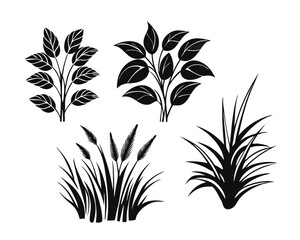 Poster - Collection of diverse botanical elements featuring various bush grass shrub and herb silhouettes in a striking graphic design format for creative projects