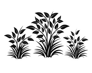 Poster - Collection of botanical silhouettes featuring diverse grasses shrubs and herbs in a stylized black and white artistic representation for design projects