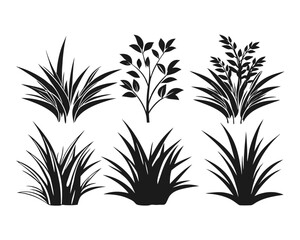 Poster - Diverse collection of natural botanical elements including various types of bushes grasses shrubs and herbaceous plants rendered in a clean monochromatic style for versatile design applications