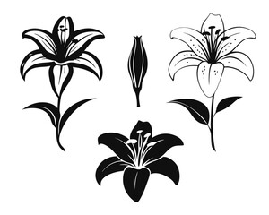 Poster - Collection of elegant lily silhouettes showcasing diverse artistic styles and charming aesthetics for creative projects