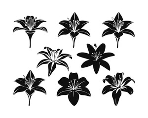 Poster - Charming collection of diverse lily silhouettes showcasing twenty seven unique artistic styles for creative projects