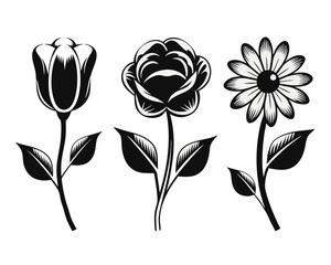 Poster - Collection of stylized floral emblems and botanical symbols featuring delicate petals and leaves in a clean modern aesthetic suitable for various design applications