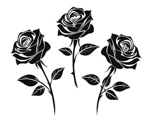 Poster - A curated collection showcasing three distinct black floral outlines featuring elegant rose blossoms with delicate petal details perfect for botanical art and decorative applications