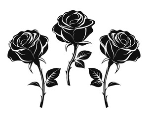 Poster - A collection of three distinct black floral outlines showcasing the elegant form of blooming roses perfect for decorative applications and artistic projects