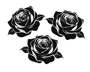 Poster - A striking collection featuring three distinct black floral outlines showcasing elegant rose blooms with delicate petal details perfect for botanical art and design projects