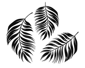 Poster - Collection of stylized tropical palm leaf silhouettes in various natural green and yellow hues perfect for decorative and botanical design projects