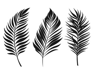 Poster - Collection of elegant palm leaf silhouettes in various tropical styles perfect for creating naturalistic and exotic decorative elements for your designs