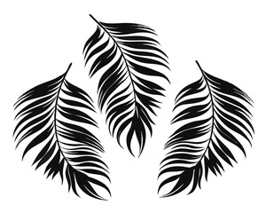Poster - Exotic tropical palm foliage collection featuring elegant silhouettes in a vibrant color palette of black yellow cyan and magenta for diverse design applications