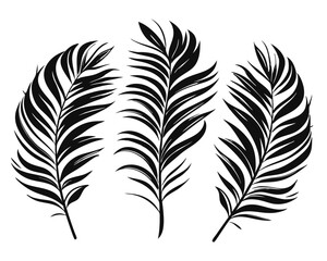 Poster - Collection of elegant palm leaf silhouettes showcasing tropical foliage designs in a monochrome palette with subtle color variations for versatile decorative applications