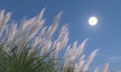 Wall Mural - a full moon glowing brightly in the night sky, gently illuminating tall pampas grass (susuki) swayin