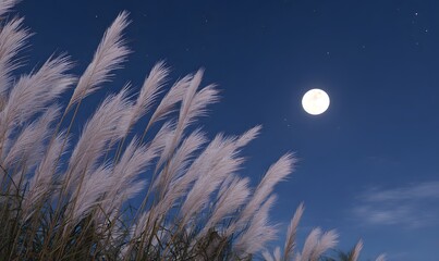 Wall Mural - a full moon glowing brightly in the night sky, gently illuminating tall pampas grass (susuki) swayin