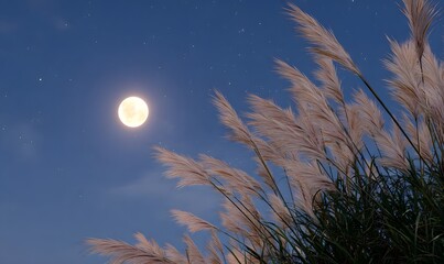 Wall Mural - a full moon glowing brightly in the night sky, gently illuminating tall pampas grass (susuki) swayin