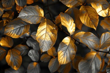 Poster - Sunlight illuminating golden and silver leaves on a branch during autumn, creating a stunning seasonal display