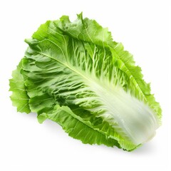 Poster - Vibrant romaine lettuce leaves, crisp and fresh, isolated on a clean white background, ready for culinary use
