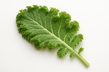 Aufkleber - Vibrant green kale leaf on a plain white backdrop
