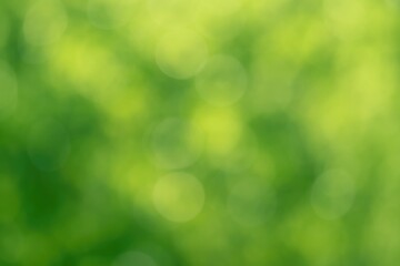 Aufkleber - Abstract scenic backdrop featuring soft-focused greenery and bokeh effects for artistic projects