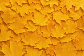 Poster - Vibrant autumn leaf backdrop with a luminous setting