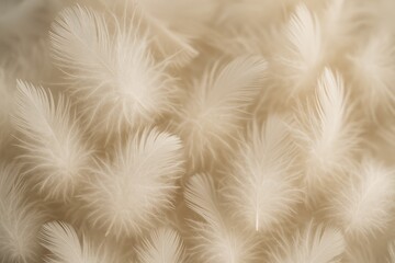 Poster - Soft white plumes against a blurred backdrop