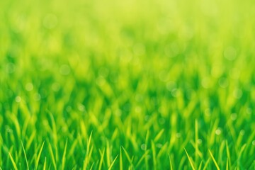 Poster - Abstract spring scene with vibrant colors