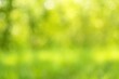 © AkuAku - Abstract lush green scenery with soft glowing bokeh lights