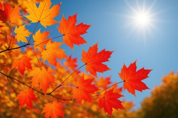Wall Mural - Vibrant fall foliage showcasing stunning hues