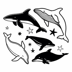 Aufkleber - illustration of various whales and dolphins with stars in a black and white color palette design sty