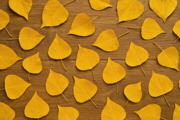 Wall Mural - Arrangement of golden fall foliage on rustic wooden surface