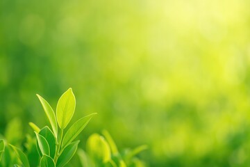Wall Mural - detailed shot of a vibrant leaf against a softly blurred lush foliage backdrop during morning sunlig