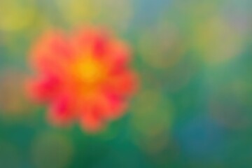 Poster - Vividly blurred floral backdrop with vibrant colors