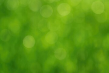 Poster - Abstract green bokeh with soft light effects