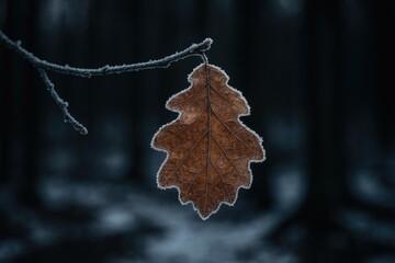 Poster - Icy foliage amidst a woodland scene with a blurred shadowy natural backdrop