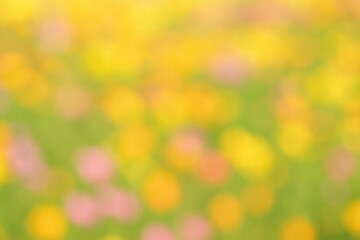 Poster - Background with soft floral blur effect