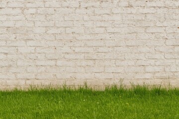 Poster - Textured white brick and stone wall with a land floor backdrop