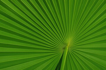 Aufkleber - Vibrant tropical foliage featuring a lush palm leaf with stem