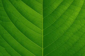 Aufkleber - Natural green leaf for a fresh look