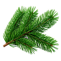 3D Forest Green Pine Branch Without Needles on Transparent Background Stylized Foliage Shape