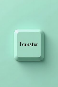 A single, mint-green keyboard key displays the word Transfer, vertical composition. The minimalist design and pastel color create a calming and modern aesthetic.