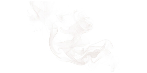 Poster - Abstract representation of swirling white smoke against a stark black background design element