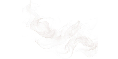 Poster - Abstract white smoke or cloud formation with hints of color on a dark black background image art