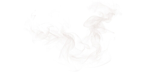 Poster - Abstract image of swirling white smoke or vapor against a stark black background creating a dynamic effect