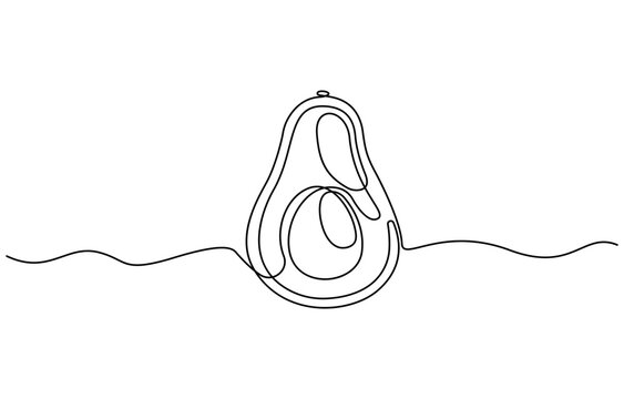 Avocado Single Line Icon, Continuous one single minimal line drawing Avocado, Sketch and Doodle Design. Avocado continuous line drawing vector illustration.