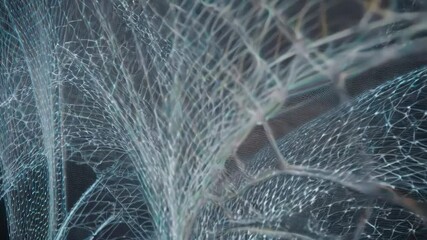 Poster - Plexus network growing and connecting, forming complex structure