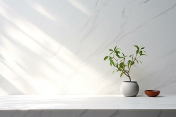 Poster - Minimalist interior design featuring sunlight illuminating marble wall, shelf, plant, and bowl