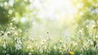 © Nastya - A sunlit summer meadow filled with delicate white wildflowers glows softly under a dreamy, bokeh-filled background